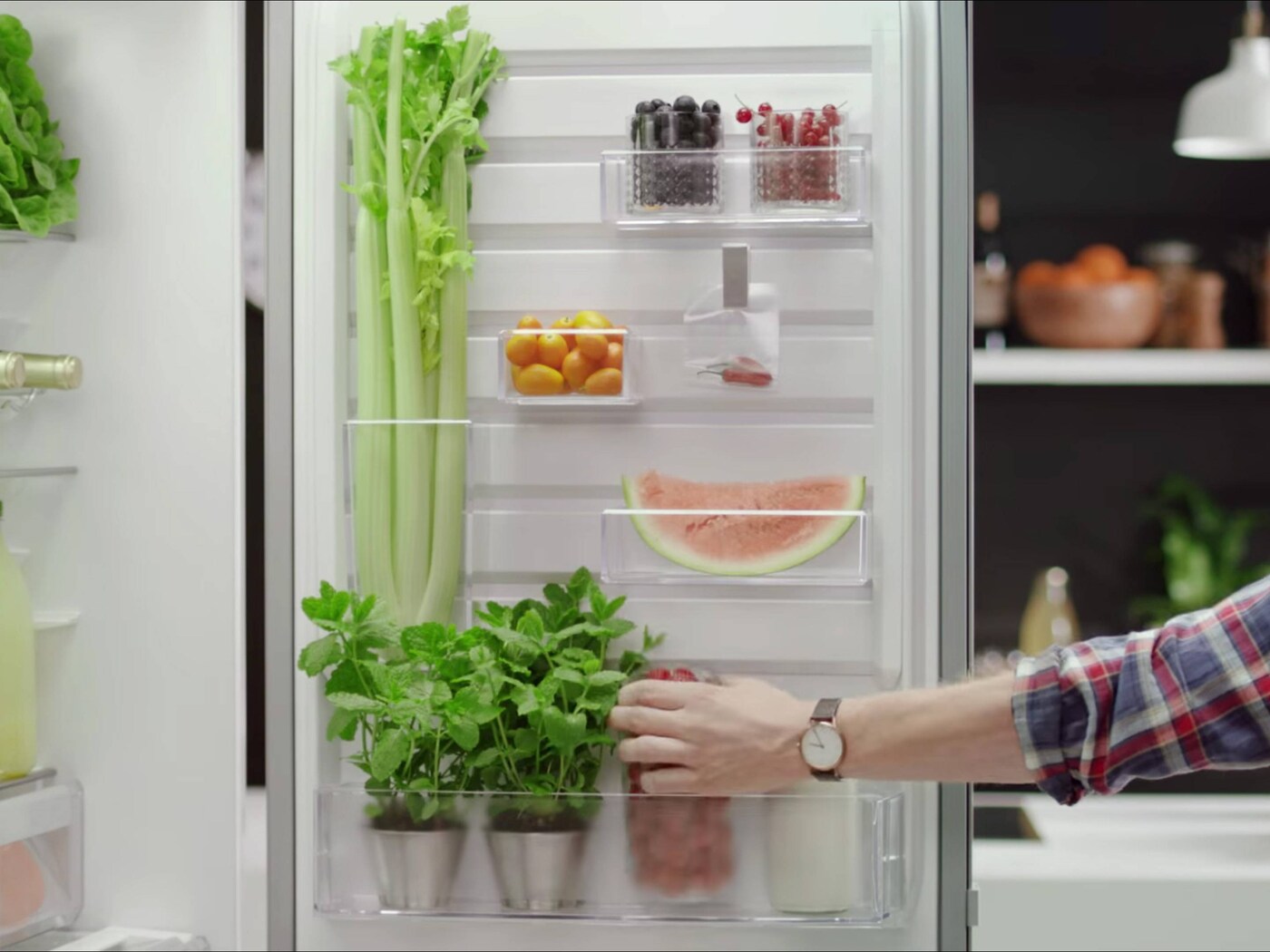 FreshPlus fridge freezers Electrolux