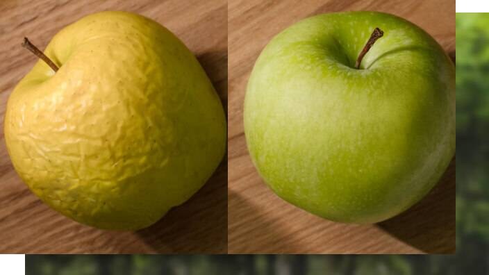 TwinTech® Total No Frost