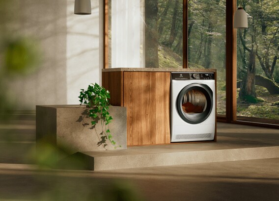 Στεγνωτήρια Electrolux της σειράς Ecoline